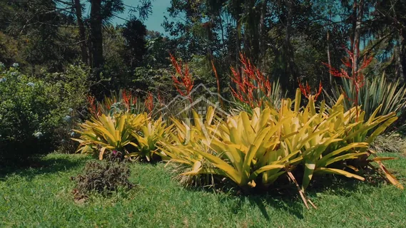 Jardim